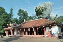 探秘宣光省宝宁崇福寺。