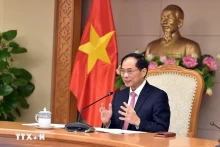 越南政府副总理兼外交部长裴青山。（图片来源：越通社）