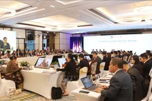 第56届东盟经济部长会议及相关会议场景。（图片来源：越通社）