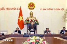 越南国会常务委员会的某场会议。（图片来源：越通社）