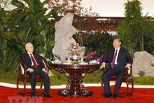 越共中央总书记阮富仲与中共中央总书记、中国国家主席习近平进行茶叙（组图）