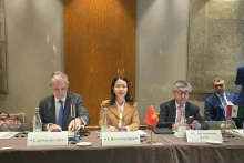 越南外交部副部长阮明姮出席会议。