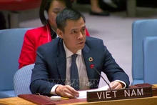 越南常驻联合国代表团团长邓黄江大使。（图片来源：越通社）
