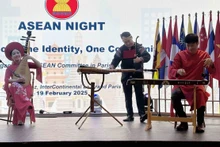 活动上的越南传统乐器表演节目。（图片来源：越通社）