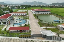 附图。