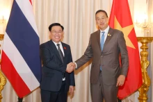 越南国会主席王廷惠会见泰国总理赛塔·他威信。