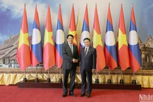 越南国家主席梁强会见老挝国会主席赛宋蓬·丰威汉【组图】