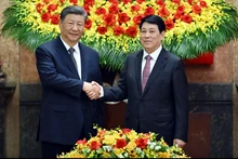 越南国家主席梁强与中共中央总书记、中国国家主席习近平举行会谈【组图】