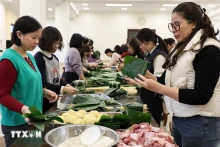 越南驻中国大使馆、大使馆工会举行包粽子活动。（图片来源：越通社）