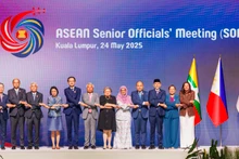 越南外交部副部长杜雄越（左五）和东盟高官会各国代表团代表合影。（图片来源：VGP）