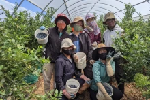 持403签证在澳大利亚工作的劳动者每个月基本工资约为4030澳元。
