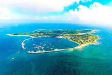 白龙尾岛注重保护海洋生物。