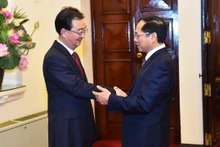 越南外交部部长裴青山和中国云南省委书记王宁。(图片来源:国际报)