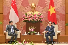 越南国会主席陈青敏会见新加坡总理黄循财。