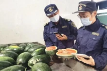 中国海关在友宜关（广西）检查越南西瓜。
