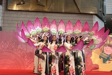 《越南莲花》表演节目。（图片来源：越通社）