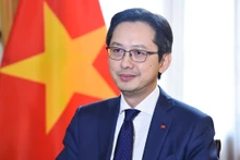 越南外交部副部长杜雄越。
