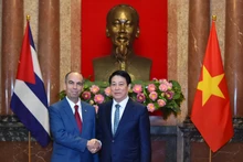 越南国家主席梁强会见前来递交国书的古巴驻越南大使【组图】