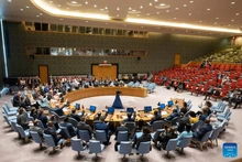 联合国安理会刚通过决议，将联合国伊拉克援助团（UNAMI）的任务期限延长一年。（图片来源：新华社）