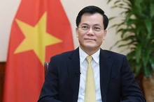 越南外交部副部长何金玉在美国总统约瑟夫·拜登访问越南前夕接受媒体记的采访。