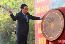 “永远铭记胡伯伯功劳”植树节启动仪式在宣光省举行【组图】