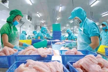 水产品是越南“十亿”美元出口行业之一。