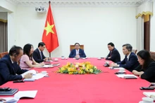 越南政府总理范明正与荷兰首相马克·吕特通电话。（图片来源：VGP）