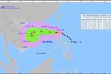 越南政府总理：主动应对台风“潭美”