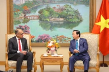 越南政府副总理陈红河会见汇丰银行亚太区联席首席执行官苏伦德拉·罗莎。(图片来源:越通社)