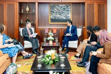 双方召开东盟高官会越南代表团团长和东盟高官会英国代表团团长的会议。（图片来源：越南外交部）