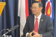 越南驻新加坡大使陈福英。（图片来源：越通社）
