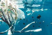 附图。（图片来源：ouroceanpanama2023.gob.pa）