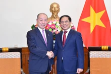 越南外长裴青山会见日本外务副大臣高木启。（图片来源：国际报）