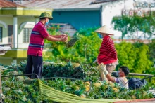 附图。（图片来源：青年报）