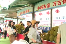 在东兴市，越南榴莲广受欢迎。（图片来源：VOV）