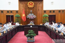 范明正总理主持召开关于确保电力供应的政府常委会会议【组图】