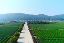 附图。