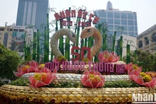 2025乙巳春节阮惠花街即将拉开序幕【组图】