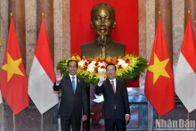 武文赏主席和佐科·维多多总统。
