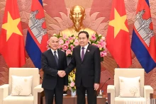 越南国会主席陈青敏会见柬埔寨国王诺罗敦·西哈莫尼。