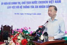 苏林主席在会上发表讲话。（图片来源：越通社）