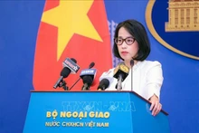 越南反对中国台湾在巴平岛海域举行实弹演习