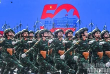 庆祝南方解放、国家统一50周年纪念典礼