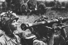 奠边府高射炮。（图片来源：越通社）