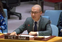 越南常驻联合国代表团临时代办阮黄原公使在辩论会上发表讲话。
