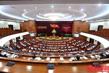 会议全景。 （登科 摄）