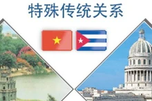 越南—古巴特殊传统关系【图表新闻】