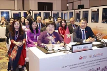 出席第44届东盟议会联盟大会第一次全体会议的越南代表团。