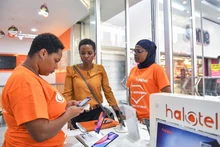 越南军队电信集团（Viettel）在坦桑尼亚开发的电信服务网Halotel。