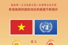 当选联合国人权理事会成员彰显越南的国际地位和威望不断得到提升【图表新闻】